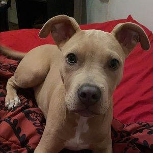 Meet your Posher, Maxine